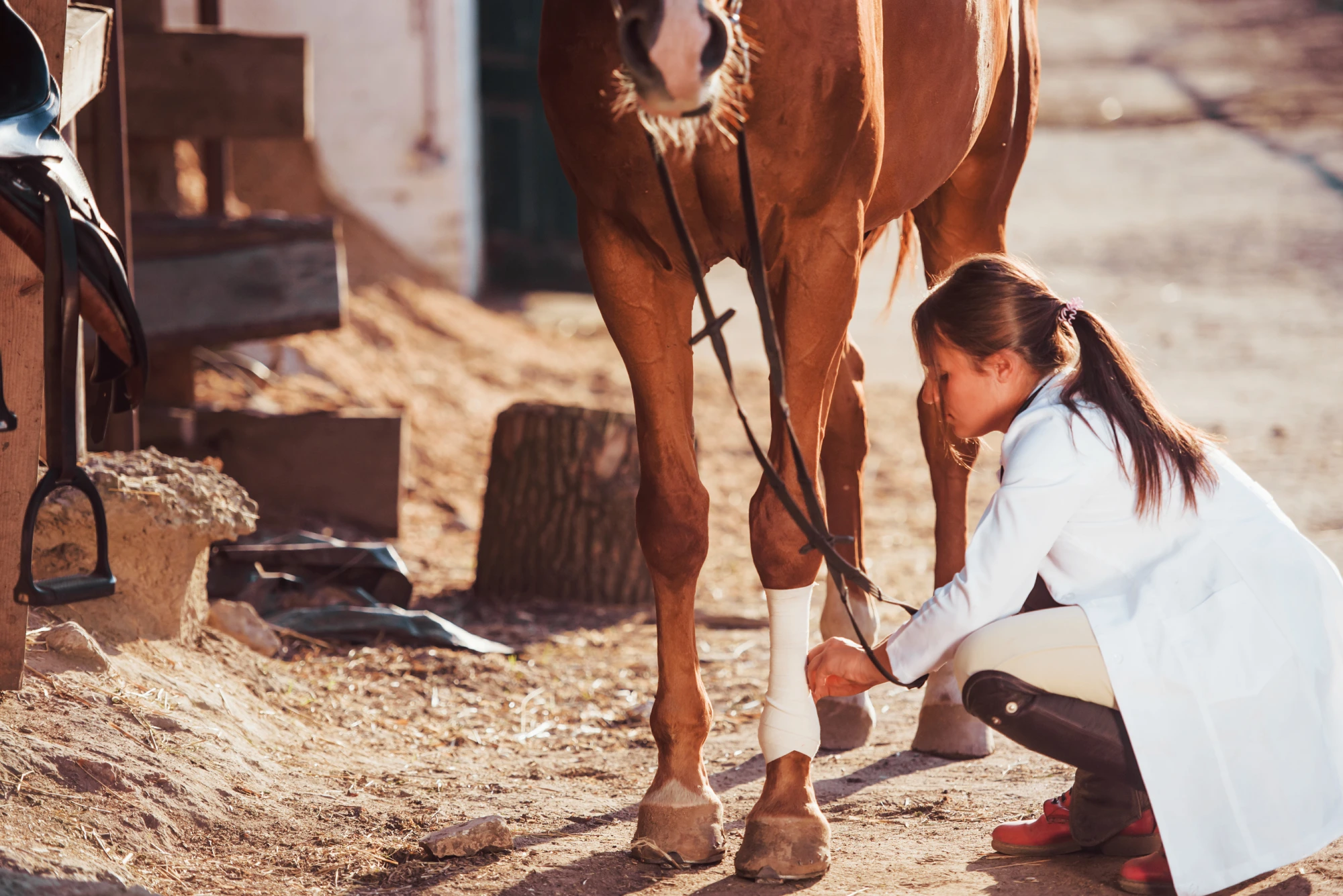 Desempenho e Reabilitação de Cavalos Atletas