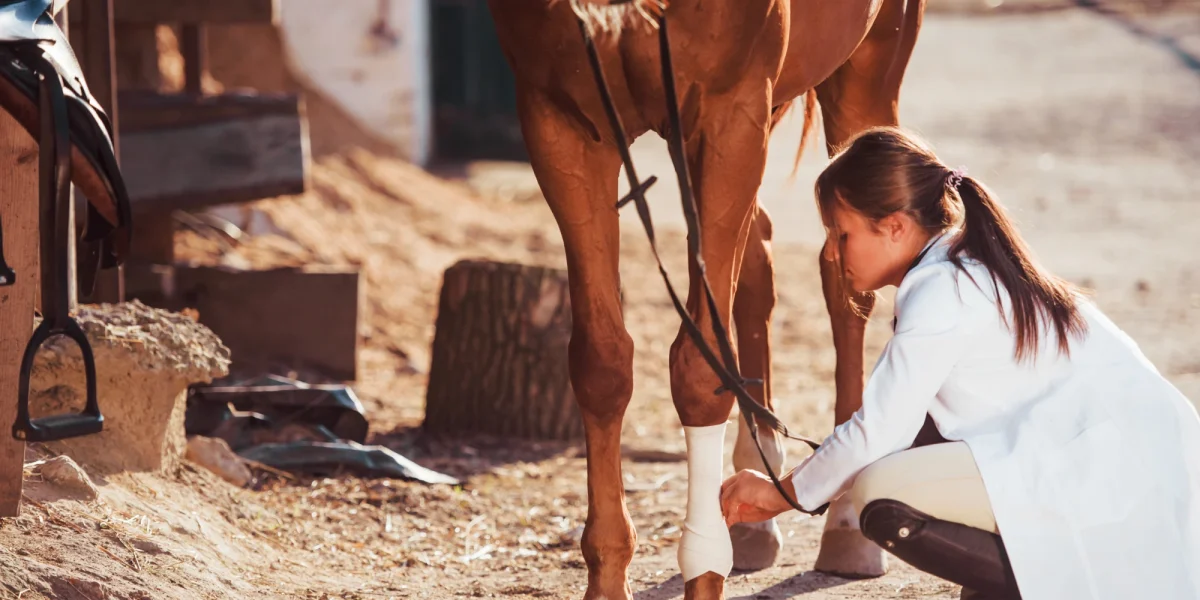 Desempenho e Reabilitação de Cavalos Atletas